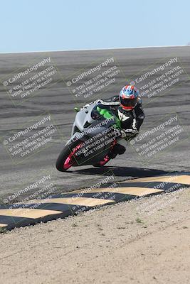 media/Oct-13-2025-Moto Forza (Mon) [[a66d839500]]/4-C Group/Session 2 (Bowl)/